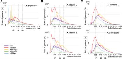 Activation of DNA Transposons and Evolution of piRNA Genes Through Interspecific Hybridization in Xenopus Frogs